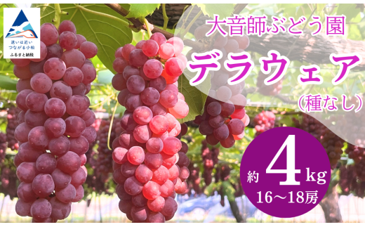ぶどう デラウェア デラウェア 4kg (16房〜18房) 果物 ぶどう 葡萄 ふるさと納税 フルーツ [大音師ぶどう園]