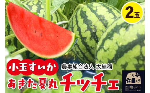 小玉すいか『あきた夏丸チッチェ』秋田県産 約2.1kg～2.7kg×2玉 1022713 - 秋田県横手市