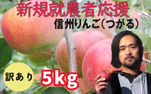 新規就農者応援 りんご （サンつがる） 訳あり 5㎏ 数量限定 先行予約 伊藤快 果物 フルーツ 家庭用