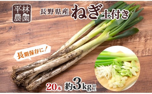 ねぎ 土付き20本 3kg以上 長ねぎ ネギ 葱 野菜 国産 新鮮 常備 保存 土付き 鍋 味噌汁 すき焼き 薬味 料理 お裾分け 贈り物 長野県産 送料無料 産地直送 平林農園 長野県 大町市