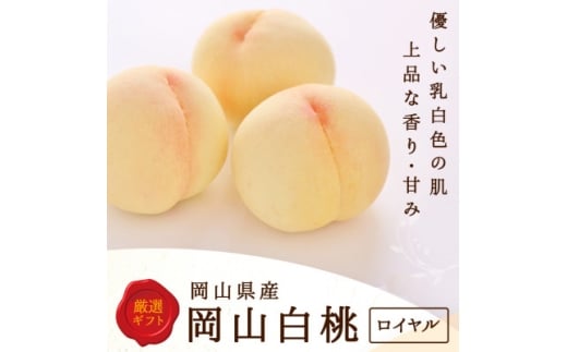 岡山県産　白桃 6玉(1.5kg以上) 等級:ロイヤル 化粧箱入り【1499099】