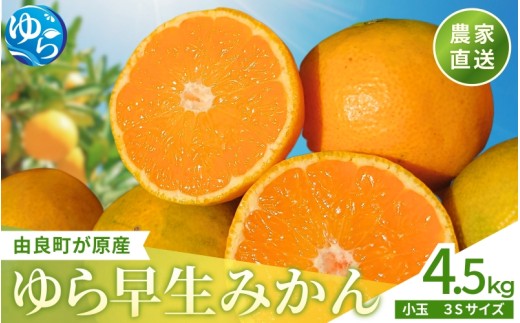 【先行予約】和歌山県産 ゆら早生みかん 4.5kg【小玉 3Sサイズ】※2025年10月中旬頃より順次発送予定 / みかん 小玉サイズ 甘い 蜜柑 フルーツ 果物 くだもの 食品 人気 晩柑 おすすめ 送料無料 産地直送 和歌山 由良町【kzmn020】