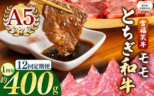 【栃木県共通返礼品】【定期便12回】宮福笑牛(とちぎ和牛) A5 モモ焼き肉 約400g  | 黒毛 和牛 牛肉 焼肉 とろける 霜降り 赤身 切り落とし ふるさと 納税 イチオシ おすすめ 栃木県 下野市 しもつけ市