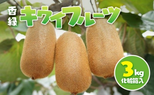 香緑 キウイフルーツ 3kg(化粧箱) 2194456 - 香川県小豆島町