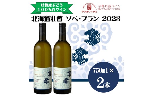 北海道壮瞥産 ソペ・ブラン2023(辛口白ワイン) 750ml×2本 【 ふるさと納税 人気 おすすめ ランキング 北海道 壮瞥 ワイン シャルドネ ピノ・ブラン ぶどう 葡萄 酒 白 辛口 贈り物 贈物 贈答 ギフト 大容量 詰合せ セット 北海道 壮瞥町 送料無料 】 SBTA085
