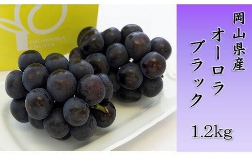 オーロラブラック1.2kg(ご家庭用)[数量限定200セット]