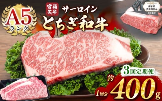[栃木県共通返礼品][定期便3回]宮福笑牛(とちぎ和牛) A5 サーロインステーキ 約200gx2枚 | 黒毛 和牛 牛肉 焼肉 とろける 霜降り 赤身 切り落とし ふるさと 納税 イチオシ おすすめ 栃木県 下野市 しもつけ市