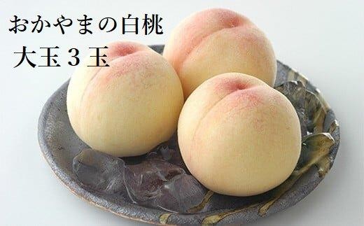 おかやまの白桃 大玉3玉 約900g(ご家庭用)【数量限定300セット】岡山 もも 桃 白桃 900g 果物 フルーツ 甘い おいしい 人気 おすすめ 岡山県 885418 - 岡山県岡山県庁