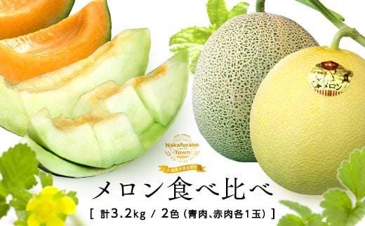 【2025年発送】中富良野産メロン赤肉・青肉　各1玉（1.6kg）