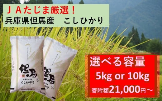 [ 先行予約 ] JAたじま厳選! 兵庫県但馬産こしひかり 5kg(5kg×1袋) or 10kg(5kg×2袋) 兵庫県北部産こしひかり 米食味ランキング特A獲得 兵庫県地域資源認定 兵庫県産特A米