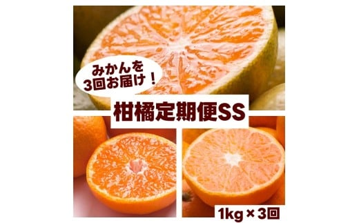 [厳選と家庭用が選べる!]柑橘 定期便 SS[全3回]厳選[ 和歌山県 有田 ] ※北海道・沖縄・離島への配送不可 / 定期便 フルーツ ゆら早生みかん 有田みかん 3回