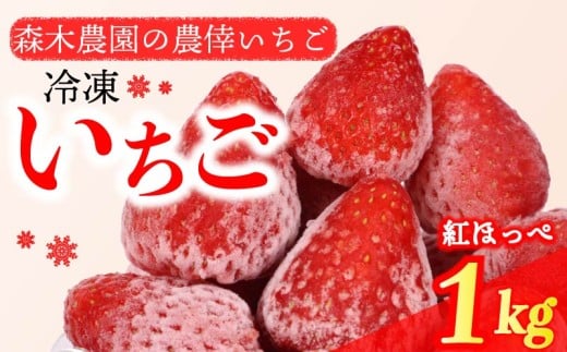 冷凍 いちご 苺 1kg 完熟 紅ほっぺ ヘタ取り いちご 静岡 限定 苺 冷凍いちご 果物 スイーツ いちご 紅ほっぺ 牧之原市 デザート フルーツ スイーツ アイス ジャム シャーベット ベリー 氷菓 冷凍 甘い オススメ ギフト 人気 紅ほっぺ 牧之原市 森木農園 2195916 - 静岡県牧之原市