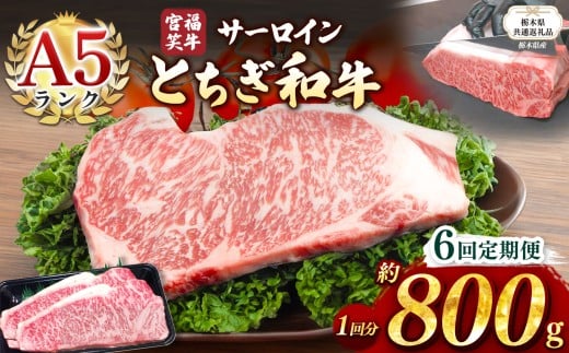 【栃木県共通返礼品】【定期便6回】宮福笑牛(とちぎ和牛) A5 サーロインステーキ　約200gx4枚  | 黒毛 和牛 牛肉 焼肉 とろける 霜降り 赤身 切り落とし ふるさと 納税 イチオシ おすすめ 栃木県 下野市 しもつけ市