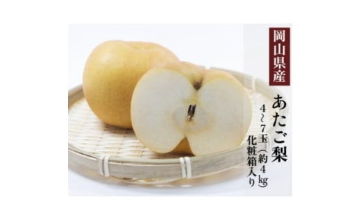 岡山県産 あたご梨 4～7玉(約4kg) 化粧箱入り【1499107】