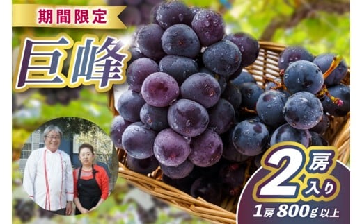 【ふるさと納税】レストランのプロが育てる！鹿嶋市産 ぶどうの王様「巨峰」2房(大粒800g以上/房) (KAE-17)