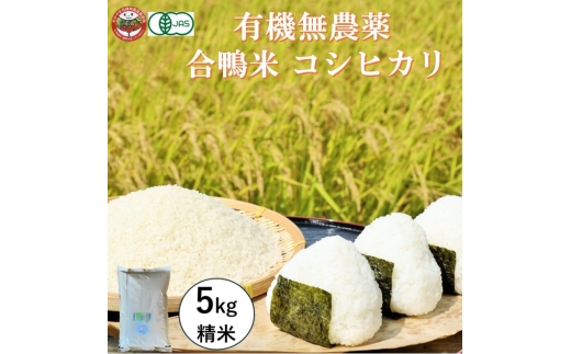 [№5615-0773]おかやま有機無農薬栽培認証 合鴨米 コシヒカリ5kg 有機栽培 オーガニック 農薬・化学肥料不使用 お米 高梁市産 合鴨農法 ブランド米 ツヤツヤ もっちり ふっくら 甘み 岡山県高梁市