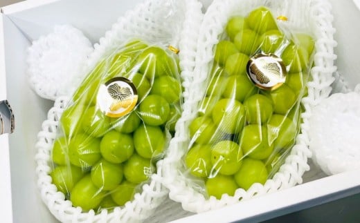 【先行予約】 岡山県産 シャインマスカット 2kg 1箱 フルーツ 果物 くだもの 食品 人気 おすすめ 【2025年9月下旬-10月下旬発送予定】