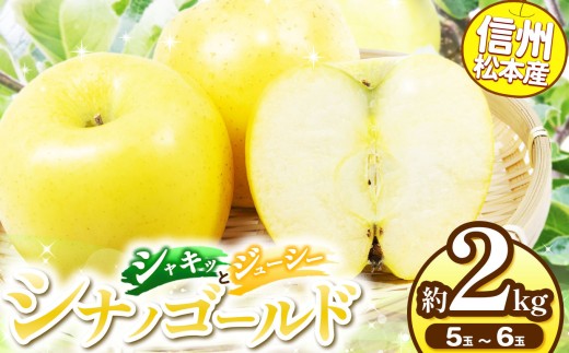 信州松本産　シナノゴールド　５～６玉約２kg 通常品 │ 林檎 りんご リンゴ シナノゴールド 果汁 果物 貴重 くだもの フルーツ 自然 旬 ご褒美 長野県 信州 松本 ふるさと納税 2245732 - 長野県松本市