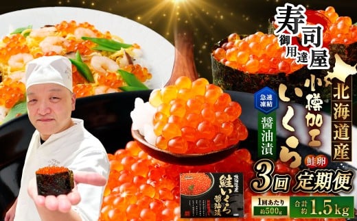 【3回定期便】 北海道加工 いくら醤油漬 約500g（約250g×2パック）×3回 計約1.5kg いくら醤油漬け いくら イクラ 醤油漬 醤油漬け 冷凍