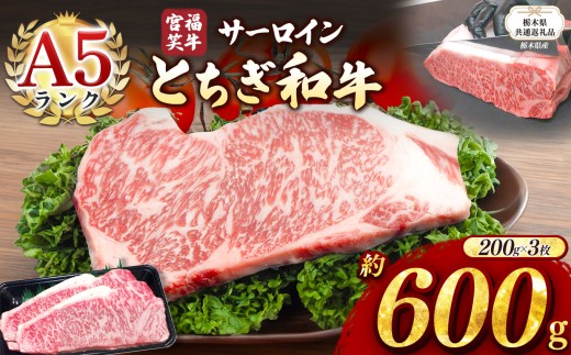 【栃木県共通返礼品】宮福笑牛(とちぎ和牛) A5 サーロインステーキ　約200gx3枚  | 黒毛 和牛 牛肉 焼肉 とろける 霜降り 赤身 切り落とし ふるさと 納税 イチオシ おすすめ 栃木県 下野市 しもつけ市 2193777 - 栃木県下野市
