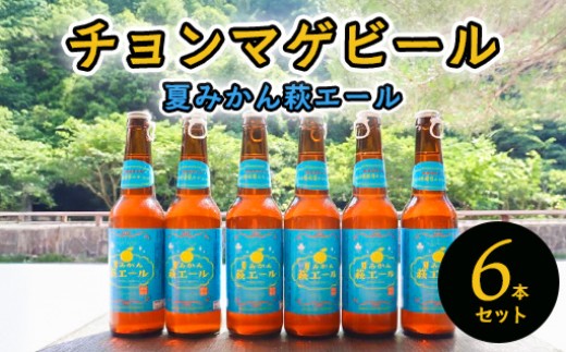 城下町・萩の地ビール/夏みかん萩エール6本セット |HG0005-A 2164132 - 山口県萩市