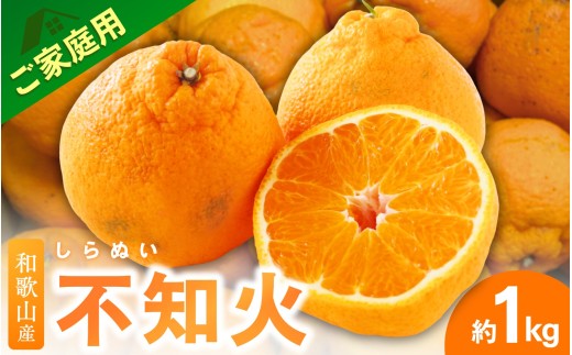 ＜3月下旬より発送＞【先行予約】家庭用不知火1kg+250g（傷み補償分）【デコポンと同品種・人気の春みかん】【わけあり・訳あり】/ フルーツ 果物 くだもの 柑橘 和歌山【ikd161C】