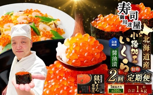 【2回定期便】 北海道加工 いくら醤油漬 約500g（約250g×2パック）×2回 計約1kg いくら醤油漬け いくら イクラ 醤油漬 醤油漬け 冷凍