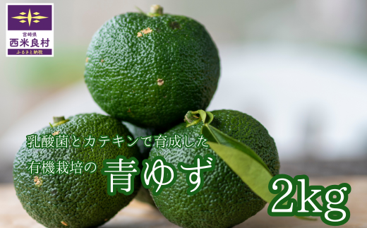 乳酸菌とカテキンで育成した有機栽培の青ゆず2キロ※8月下旬より発送開始