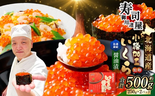 北海道加工 いくら醤油漬 計約500g （約250g×2パック） いくら醤油漬け いくら イクラ 醤油漬 醤油漬け 冷凍