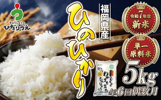 【米定期便】【年6回偶数月】【2026年2月発送開始】JAよりお届け！「ひのひかり」 5kg（5kg×1袋）×6回 計30kg[G5082]