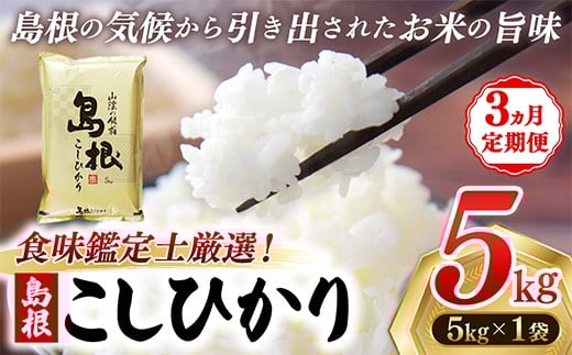 【新米 先行受付】【定期便 3か月】食味鑑定士厳選　島根こしひかり 5kg（5kg×1袋）【白米 コシヒカリ 令和7年産 先行予約 新米予約 精米 島根県 安来市】