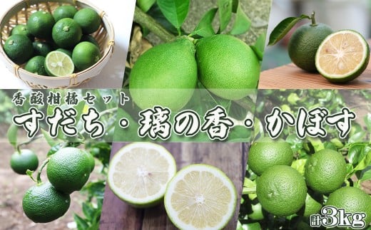 【令和7年9月下旬発送／先行予約】刈込園芸の香酸柑橘『かぼす・すだち・璃の香』計３kg　[0010-0276] 1095920 - 千葉県鴨川市