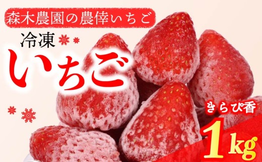 冷凍 いちご 苺 1kg以上 完熟 きらぴ香  ヘタ取り いちご 静岡 限定 苺 冷凍いちご きらぴ香 果物 スイーツ いちご 牧之原市 デザート フルーツ スイーツ アイス ジャム シャーベット ベリー 氷菓 冷凍 甘い オススメ ギフト 人気 牧之原市 森木農園