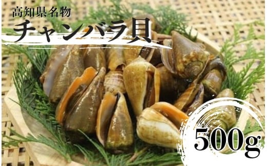 S250-1[高知名物]チャンバラ貝 500g[季節限定・売り切れ次第終了]