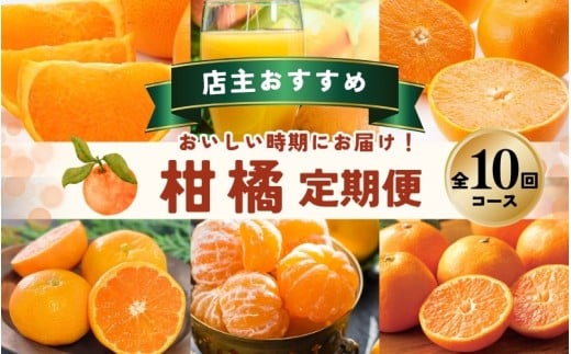 【全10回】 柑橘 定期便 石本果樹園 店主おすすめの柑橘セットをお届け！ /  フルーツ 果物 くだもの 柑橘 フルーツ定期便 くだもの定期便 定期便 フルーツセット くだものセット みかん ミカン 温州みかん 不知火 せとか セミノール ポンカン カラマンダリン 甘夏 清見 オレンジ ジュース みかんジュース 果実飲料 産地直送 旬 人気 おすすめ 詰め合わせ お楽しみ 三重県 紀宝町