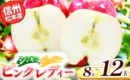 【2026年2月発送】信州松本産　ピンクレディー　8～１２玉 通常品 │ 林檎 りんご リンゴ ピンクレディー 果汁 果物 貴重 くだもの フルーツ 自然 旬 ご褒美 長野県 信州 松本 ふるさと納税 2245737 - 長野県松本市