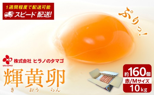ヒラノのたまご 輝黄卵(きおうらん)赤Mサイズ10kg(160個前後)【卵 たまご タマゴ 生卵 生たまご 鶏卵 たまご 卵 国産 たまご 卵 タマゴ 鶏卵 たまごやき 卵かけご飯 卵焼き ゆでたまご たまご 新鮮 直送 朝ごはん 卵かけごはん AJ001】