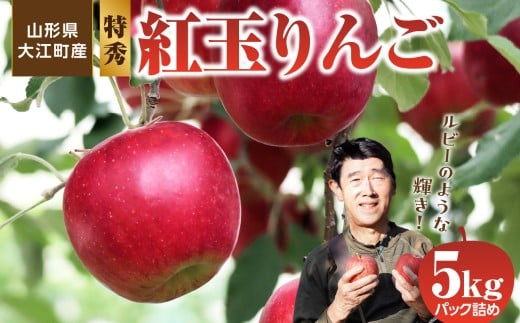 ≪先行受付≫紅玉りんご5kg 18個～25個 特秀【2025年10月下旬頃～発送予定】 【057-003】