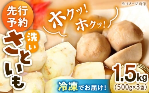 【冷凍】【9月下旬より順次発送】 冷凍 洗い里芋 1.5kg（500g×3袋） 野菜 里芋料理 さといも煮 さといも 国産野菜 里芋料理 愛媛県大洲市/沢井青果有限会社 [AGBN039]野菜 里芋料理 さといも煮 さといも 国産野菜 787673 - 愛媛県大洲市