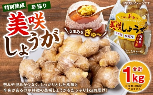 美咲しょうが 1kg
