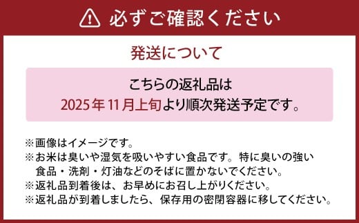 岡山県美咲町産 きぬむすめ 10kg 令和7年産米先行予約 【2025年11月上旬-2026年10月下旬発送予定】