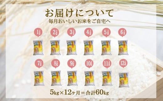 【年間定期便】 えびの産 ひのひかり 5kg×12ヶ月 合計60kg