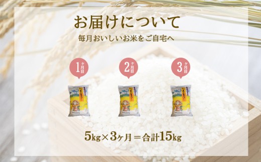 【3ヶ月定期便】えびの産 ひのひかり 5kg×3ヶ月 合計15kg