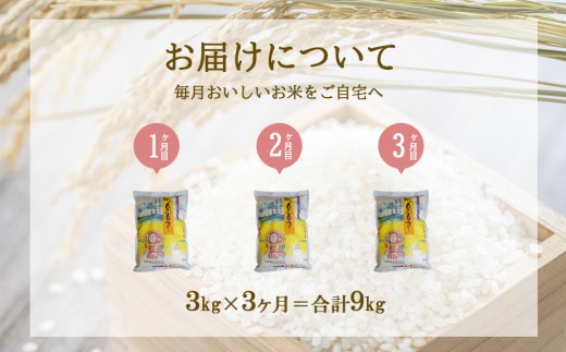 【定期便】えびの産 ひのひかり 3kg×3ヶ月
