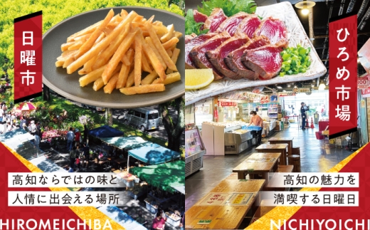 【高知市】 日本旅行 地域限定旅行クーポン300,000円分 / 高知市 旅行 【株式会社日本旅行】 [ATHI006]
