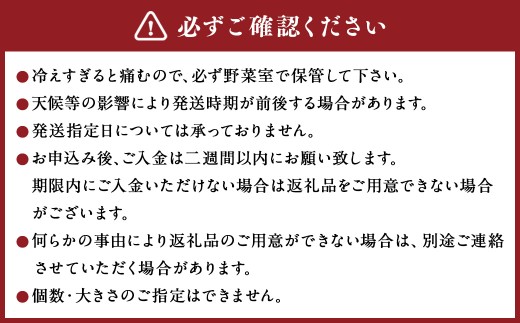 美咲しょうが 1kg