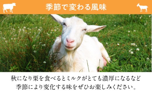 ペット用 ペット おやつ エサ 犬 猫 国産 ドックフード キャットフード