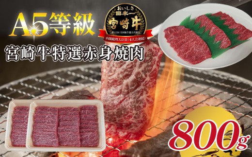 【A5等級】宮崎牛特選赤身焼肉 800g 宮崎牛 ブランド牛 和牛 牛肉 焼肉 特選和牛 赤身 A5 宮崎県 小林市 2185279 - 宮崎県小林市