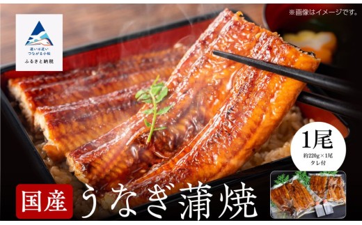 [真空パック]国産うなぎ蒲焼 約200g×1尾 鰻かば焼き タレつき 関西風 小松市 石川県 [株式会社竹本商店]