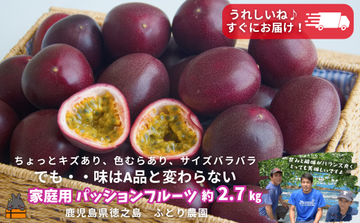 2372 《すぐにお届け！》徳之島ふとり農園さんの家庭用パッションフルーツ（約2.7kg）  ( 果物 パッション 訳アリ わけあり 家庭用 フルーツ 酸味 甘み プチプチ 徳之島 奄美 鹿児島 美味しい 旬 南の島 世界自然遺産 果樹 ふとり農園 ) 